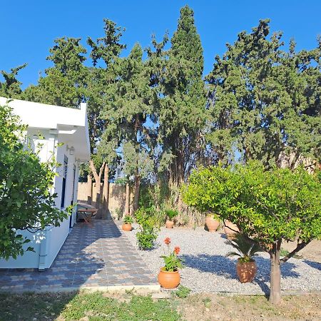 Villa Deja Blue Archangelos  Exterior foto